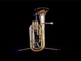 Horn