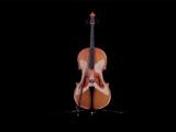 Cello